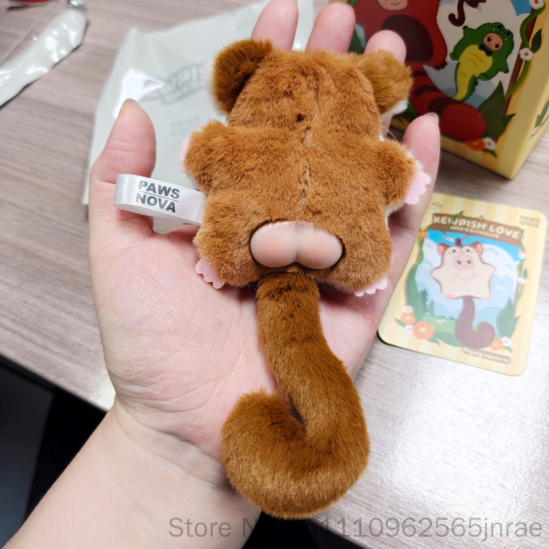 ตุ๊กตา Paws Nova ของแท้ รุ่น K - Nova Decor & Lighting Vase บทวิจารณ์และราคา